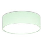 Plafon mięta o średnicy 45 cm