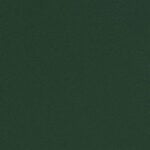 Kolor tkaniny Oslo - zielony